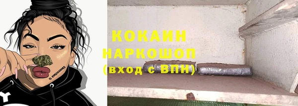 шишки Вяземский
