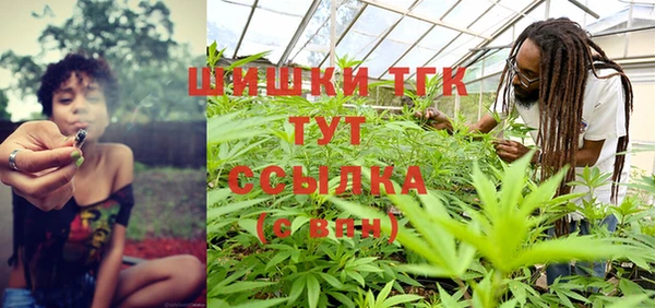 шишки Вяземский