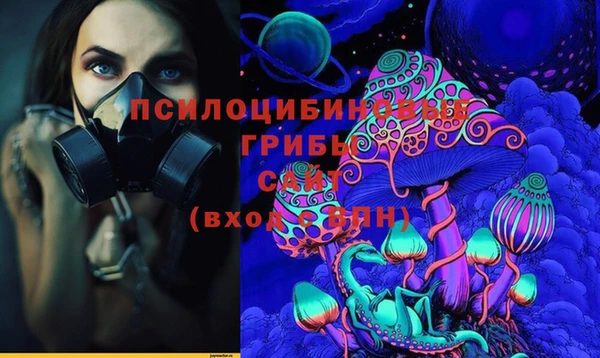 spice Вязники