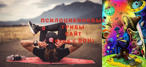 стаф Горно-Алтайск