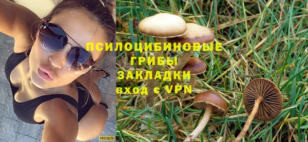 стаф Горно-Алтайск